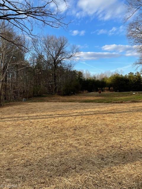 1350 County Home Road Reidsville, NC 27320 - Photo 2 of 12 Gallery Image 2