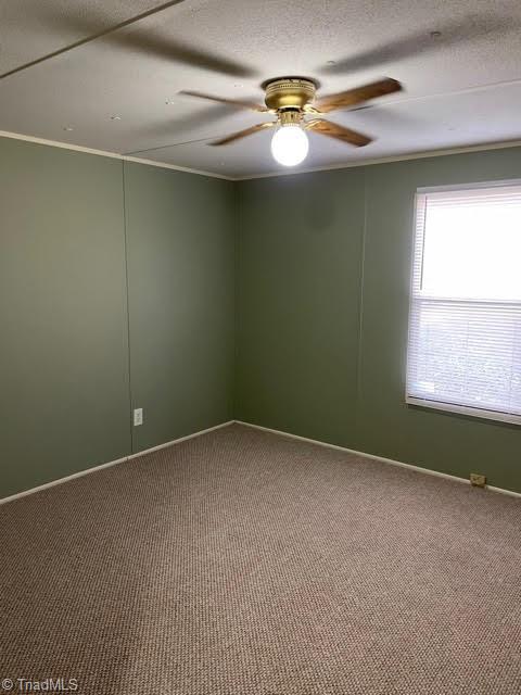 1350 County Home Road Reidsville, NC 27320 - Photo 10 of 12 Gallery Image 10