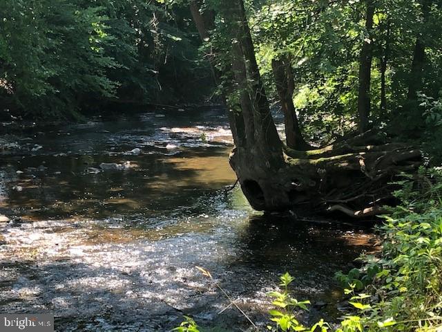 191 Oak Hall Road Newport, PA 17074 - Photo 83 of 84 Awesome tree