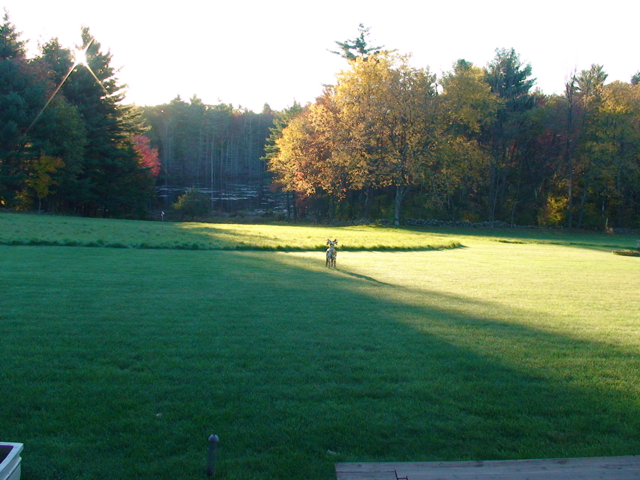 72 A Brett Road Monterey, MA 01245 - Photo 18 of 20 a view of a large yard with large trees