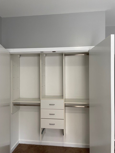 1075 West Roosevelt Road, Unit 209 Chicago, IL 60608 - Photo 14 of 16 a view of an empty walk in closet