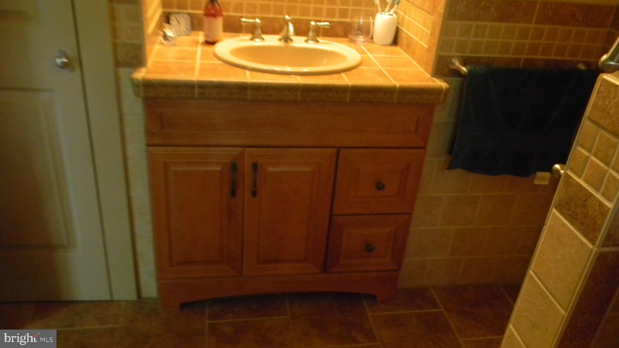 42 Pearl Place Basye, VA 22842 - Photo 24 of 30 a bathroom with a sink