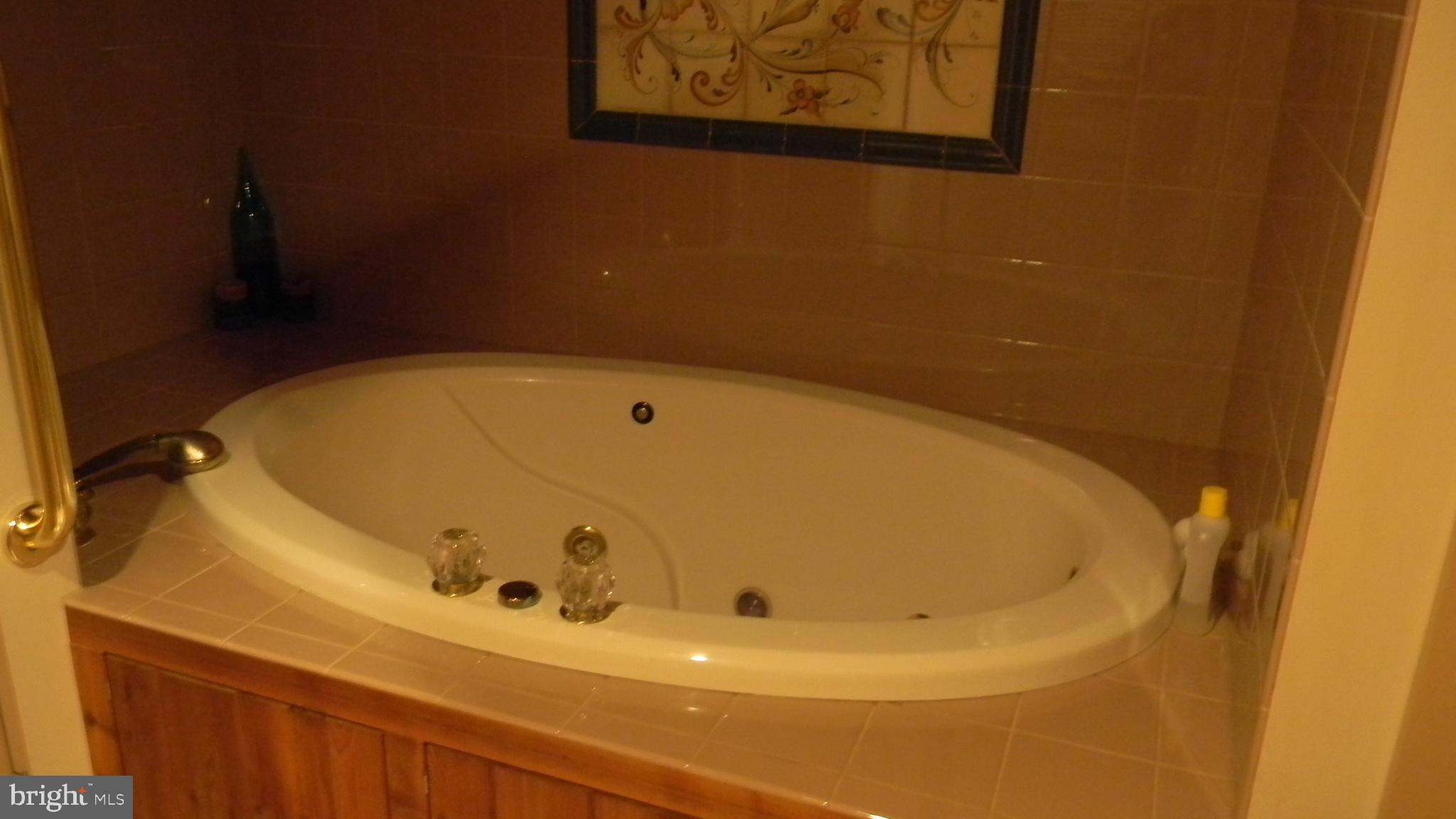 42 Pearl Place Basye, VA 22842 - Photo 28 of 30 a bathroom with a tub