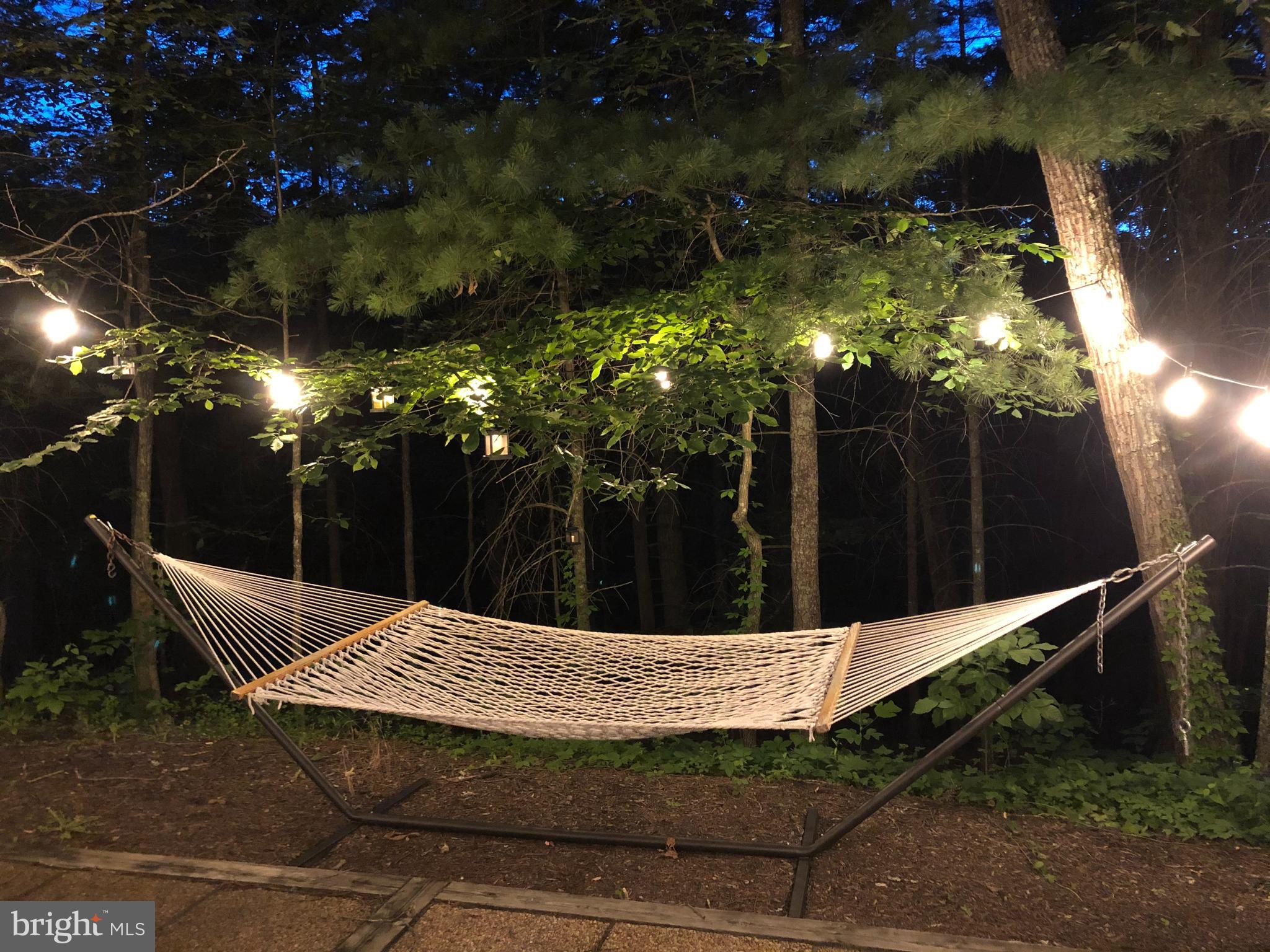 42 Pearl Place Basye, VA 22842 - Photo 4 of 30 a view of outdoor space