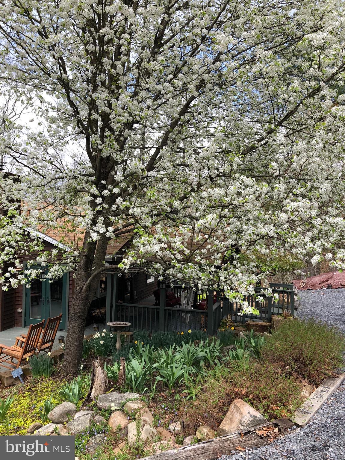 42 Pearl Place Basye, VA 22842 - Photo 9 of 30 a backyard of a house with lots of green space