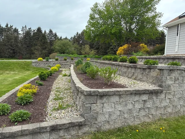 a view of a garden with a bench in the background