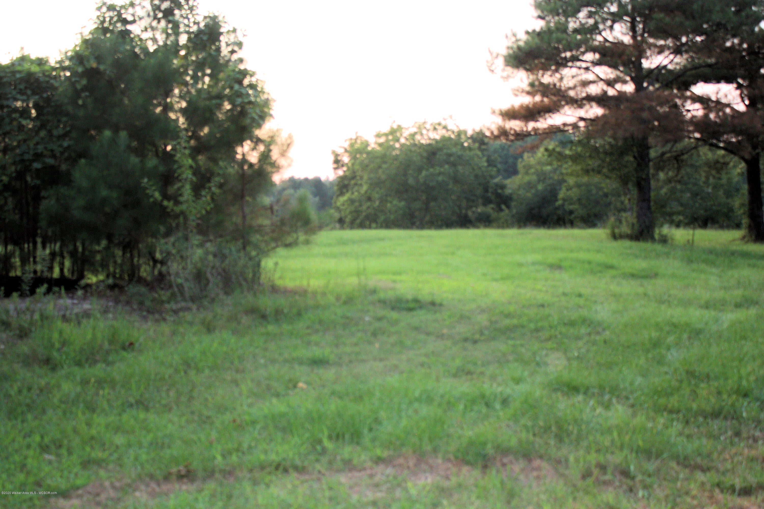 Rose Road Nauvoo, AL 35578 - Photo 5 of 12 Gallery Image 5