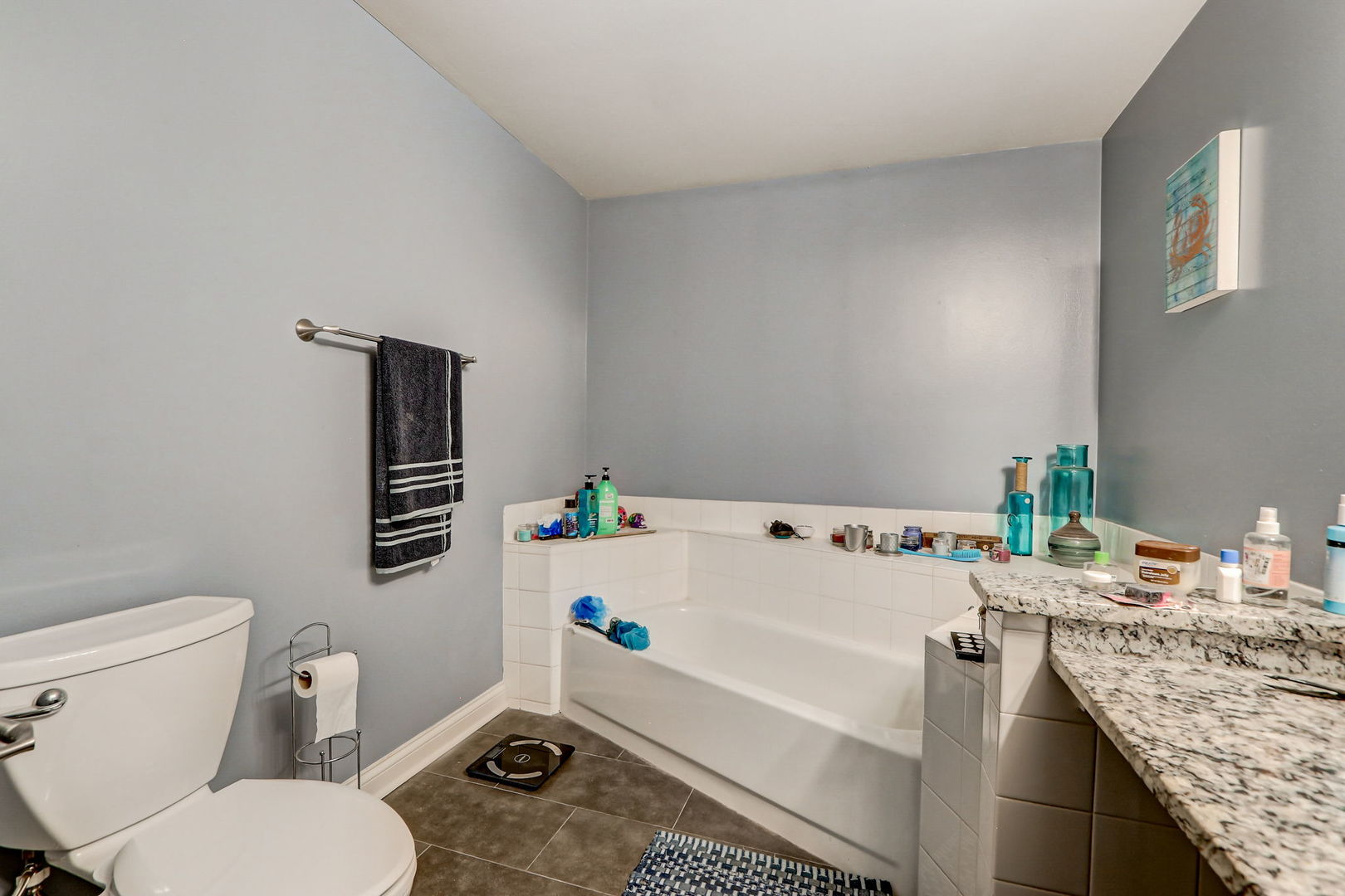 628 Village Road, Unit B Crystal Lake, IL 60014 - Photo 22 of 33 a bathroom with a granite countertop toilet a sink and bathtub