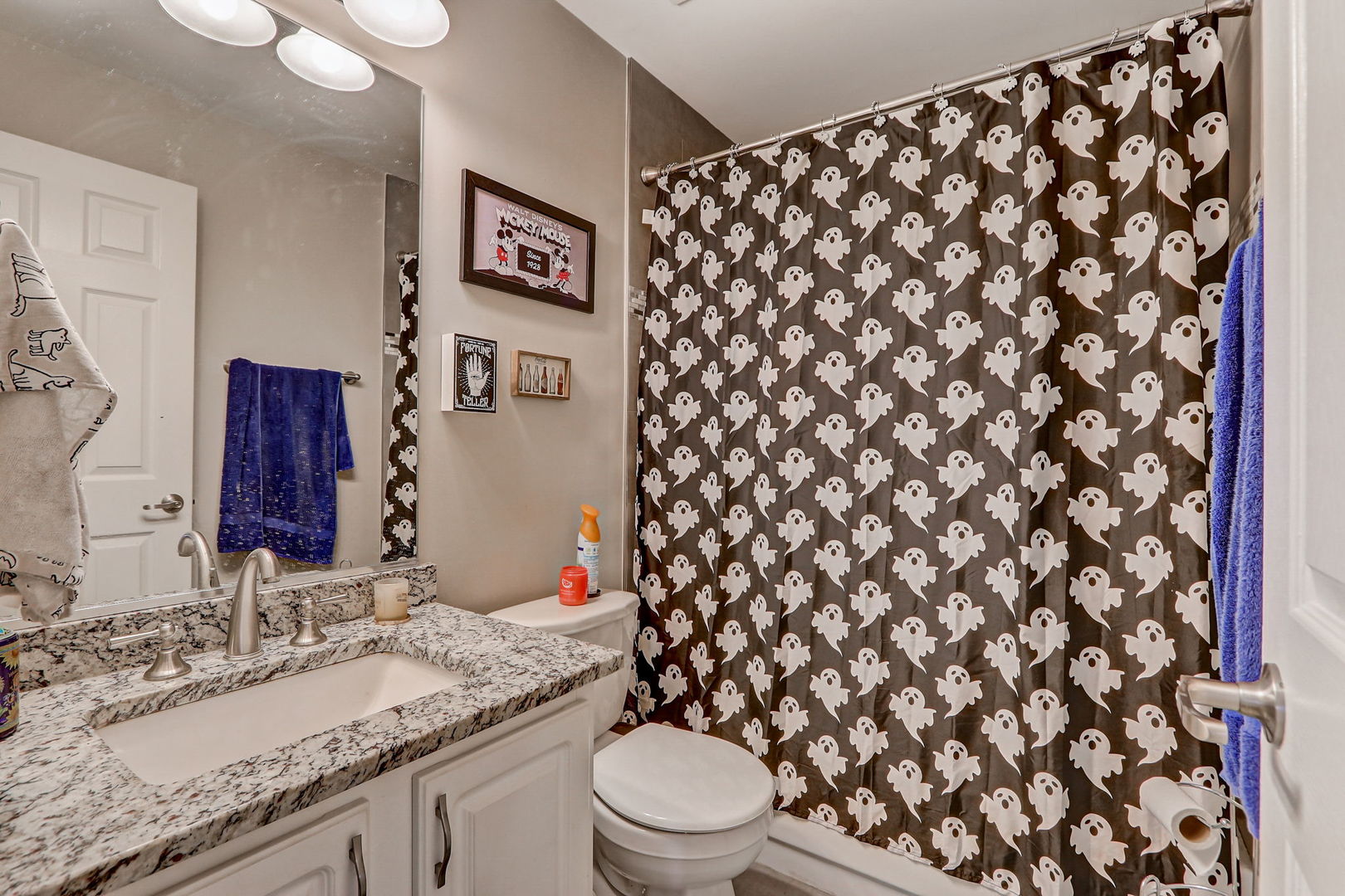 628 Village Road, Unit B Crystal Lake, IL 60014 - Photo 26 of 33 a bathroom with a granite countertop sink and a mirror