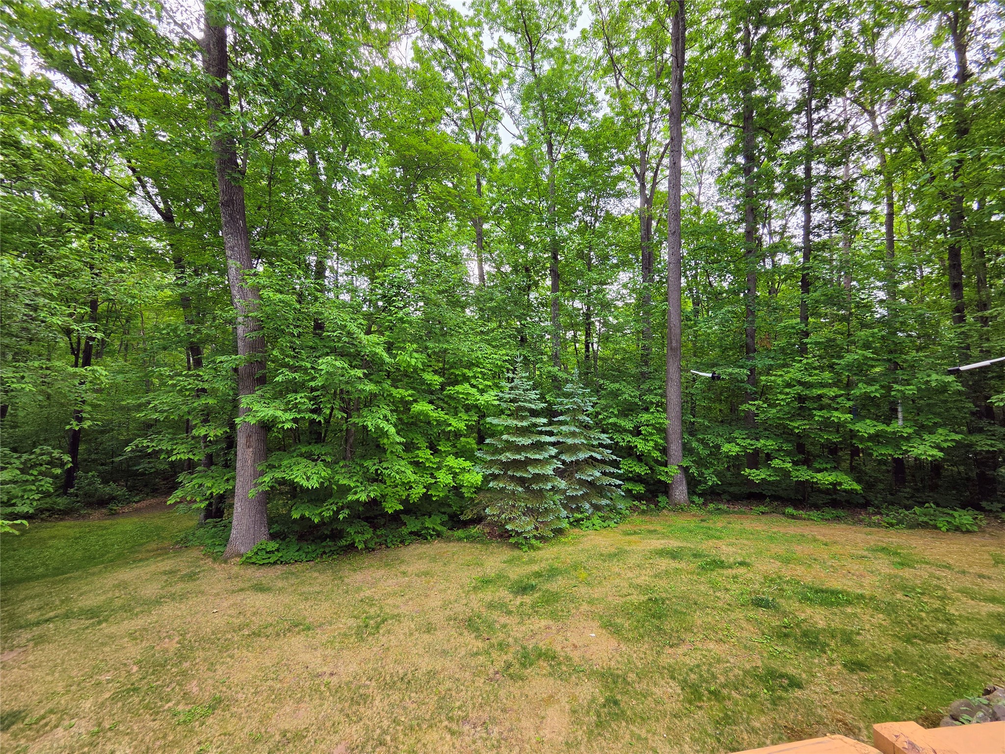 1388 West Town Hall Road Springbrook, WI 54875 - Photo 49 of 58
