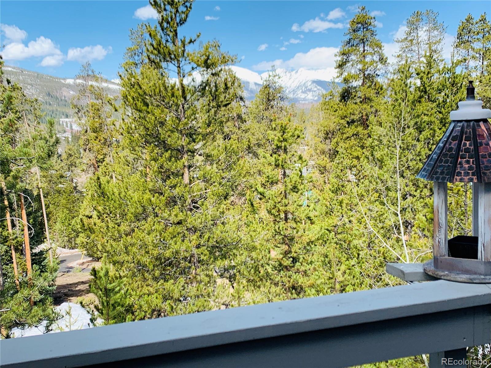 2059 Keystone Ranch Road Dillon, CO 80435 - Photo 19 of 40 Gallery Image 19