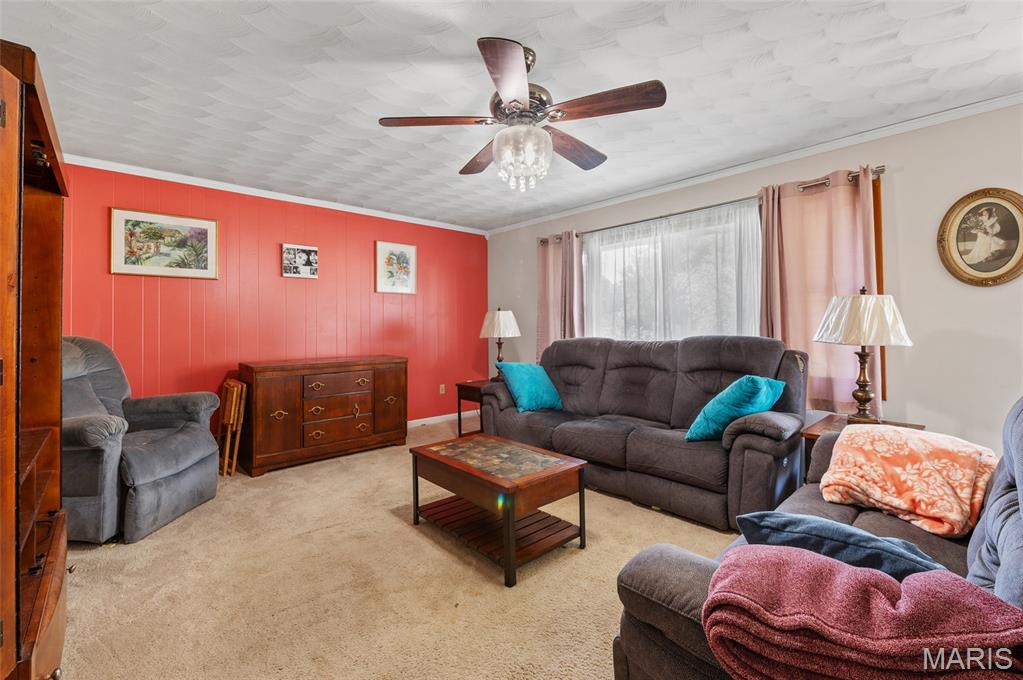 115 West Loud Street Virden, IL 62690 - Photo 4 of 20