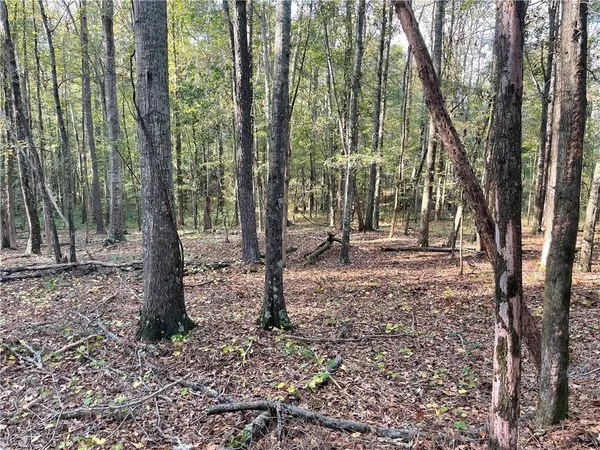 a view of outdoor space with trees