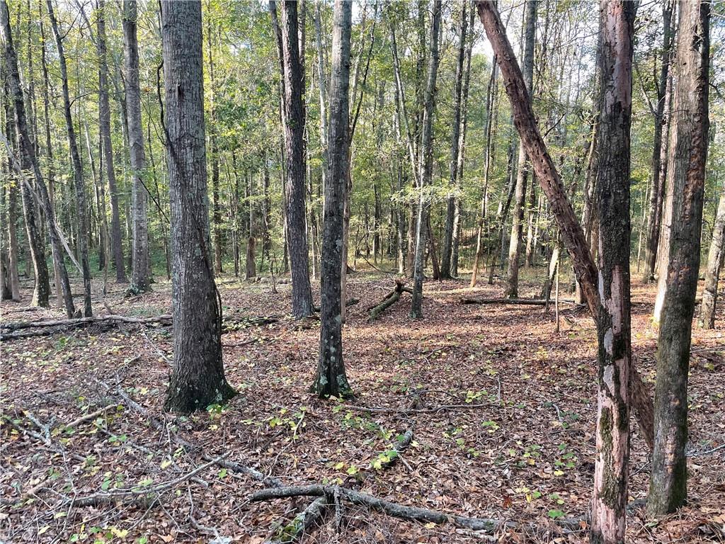 44 County Line-Auburn Road Auburn, GA 30011 - Photo 9 of 10 a view of outdoor space with trees