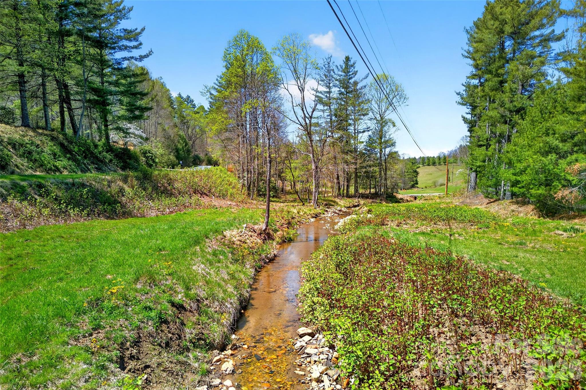 1959 Jacksontown Road Spruce Pine, NC 28777 - Photo 30 of 48