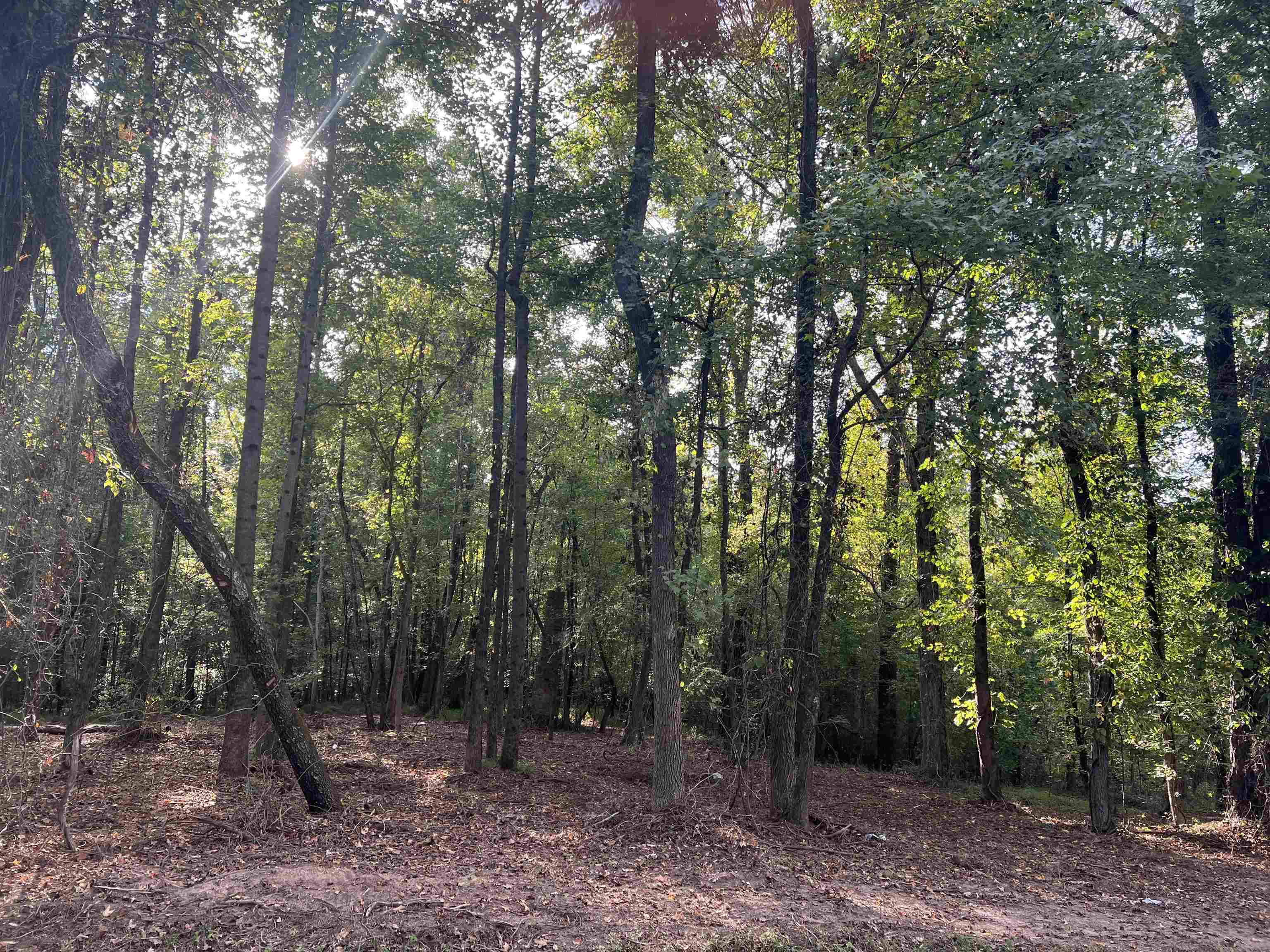 Lot 10 Kent Rock Road Loganville, GA 30052 - Photo 1 of 1 Gallery Image 1