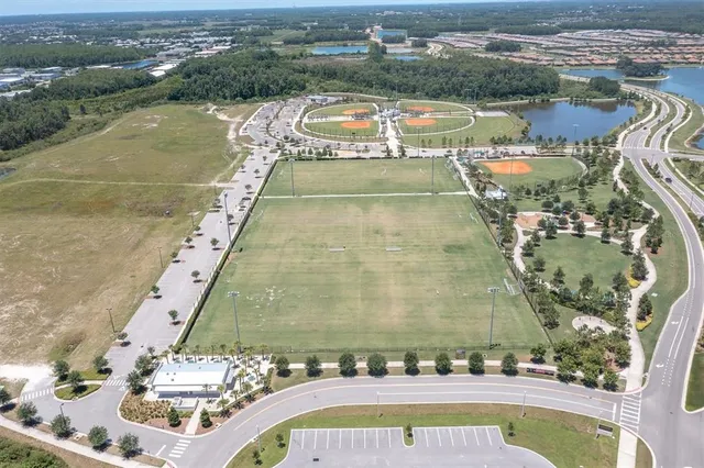 a flag is sitting in the middle of a forest