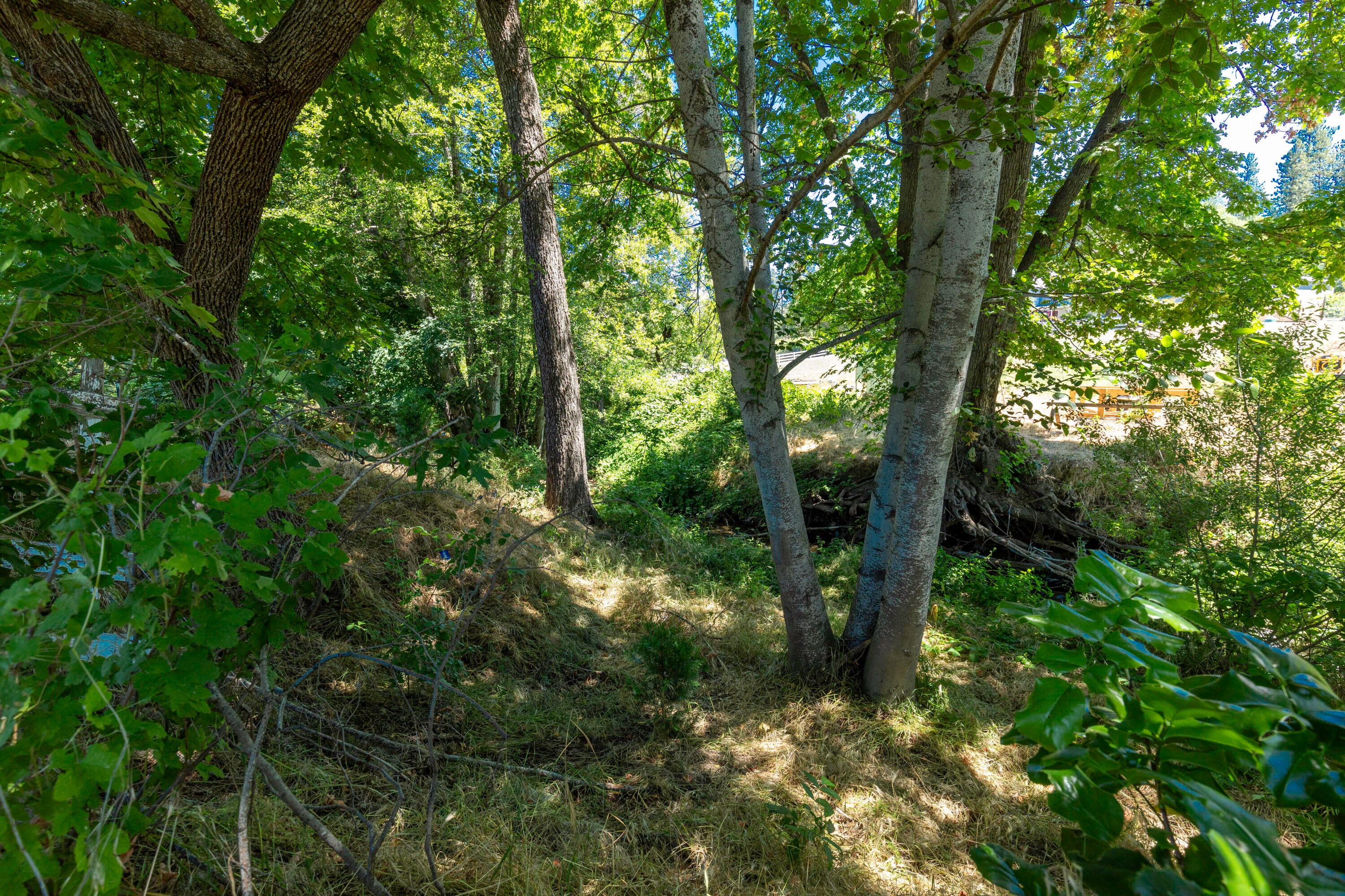 7335 Wagner Creek Road Talent, OR 97540 - Photo 11 of 14 797A9200-Edit