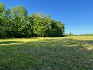 4889 Hancock Road Springfield, TN 37172 - Photo 1 of 2 a view of a big yard with a house in the background