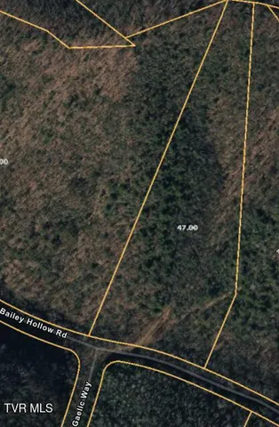 $85,000 | Lot 4 Bailey Hollow Road, Unit 4, Erwin, TN 37650