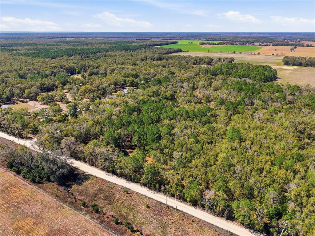 Tbd Southwest Fry Avenue, Unit B Fort White, FL 32038 - Photo 5 of 7 a view of a yard with an outdoor space