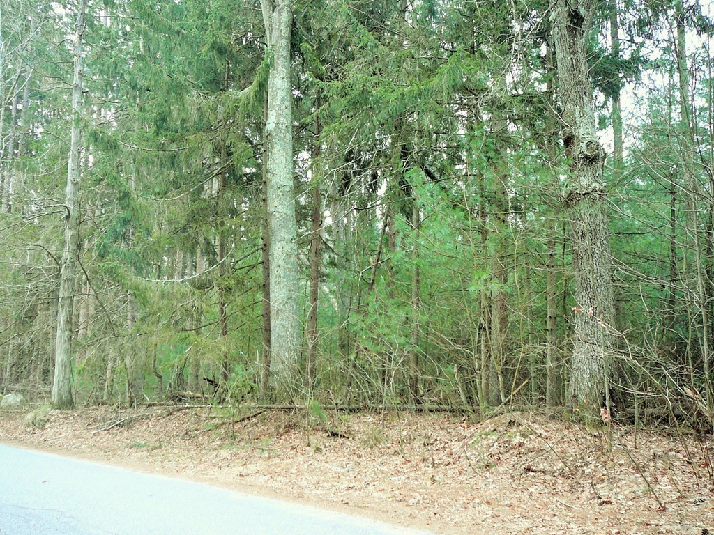 Lot B Robinson Road Palmer, MA 01069 - Photo 5 of 5 Gallery Image 5