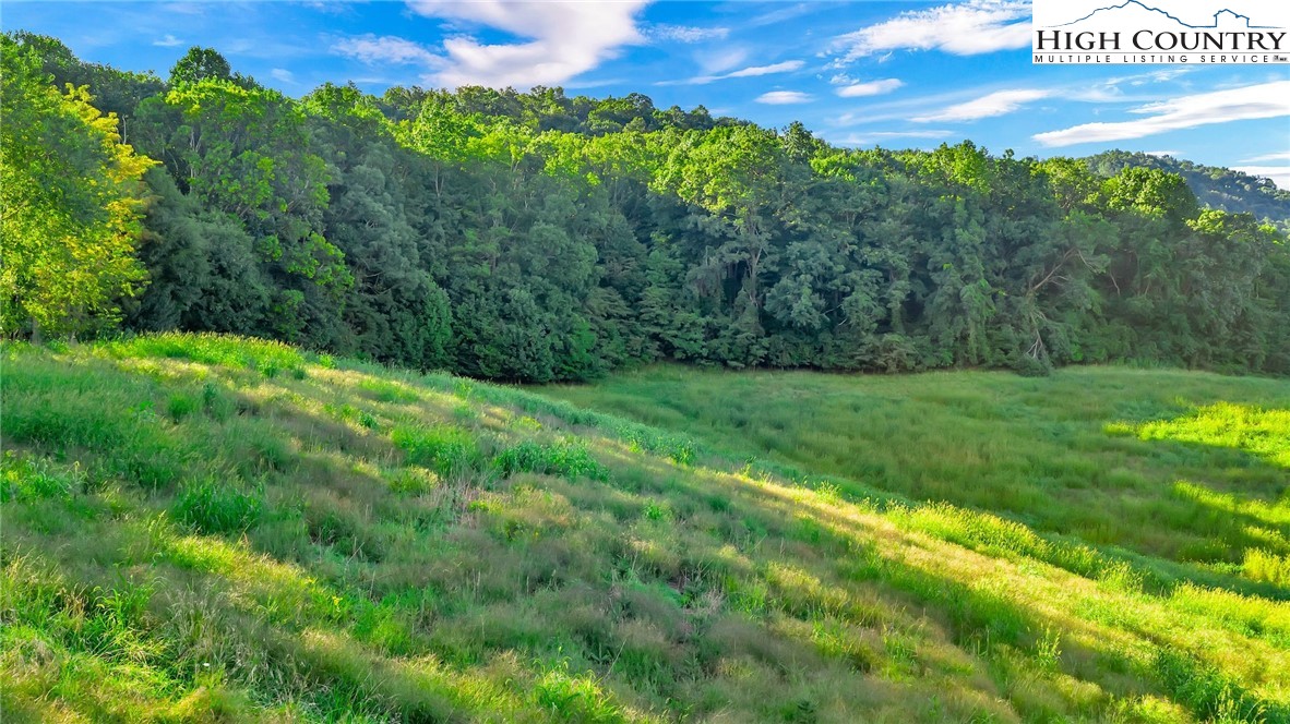 Harless Road West Jefferson, NC 28694 - Photo 11 of 31 Gallery Image 11