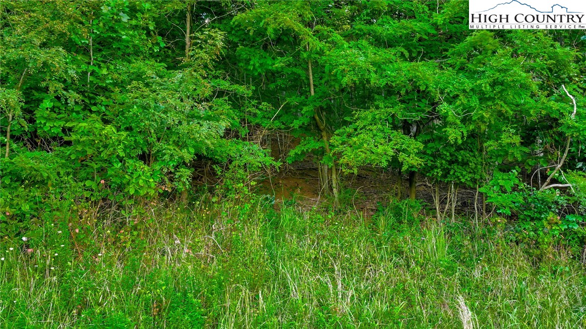 Harless Road West Jefferson, NC 28694 - Photo 13 of 31 Gallery Image 13