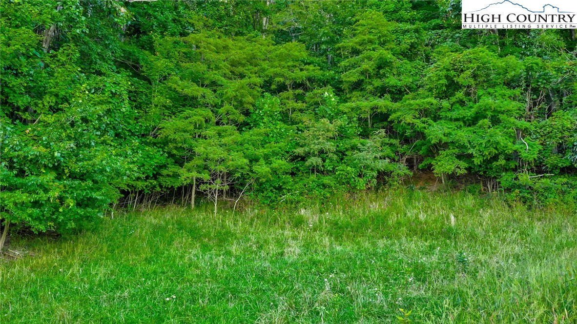 Harless Road West Jefferson, NC 28694 - Photo 19 of 31 Gallery Image 19