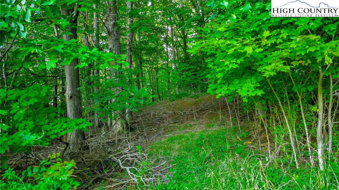 Harless Road West Jefferson, NC 28694 - Photo 2 of 31 Gallery Image 2