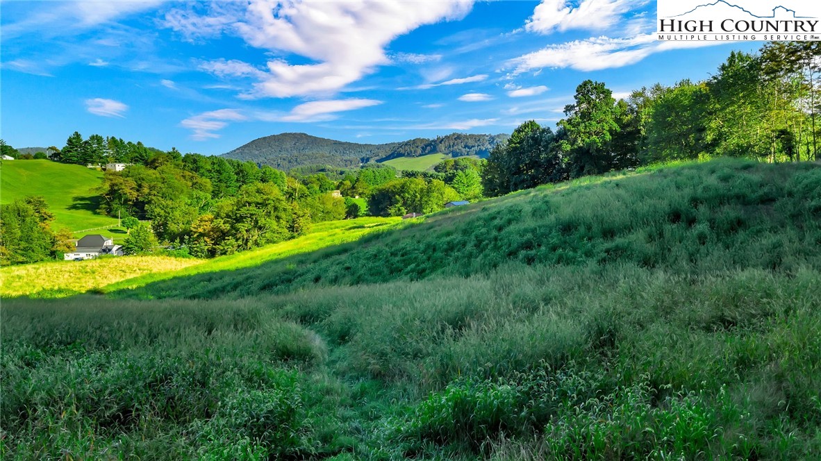 Harless Road West Jefferson, NC 28694 - Photo 8 of 31 Gallery Image 8