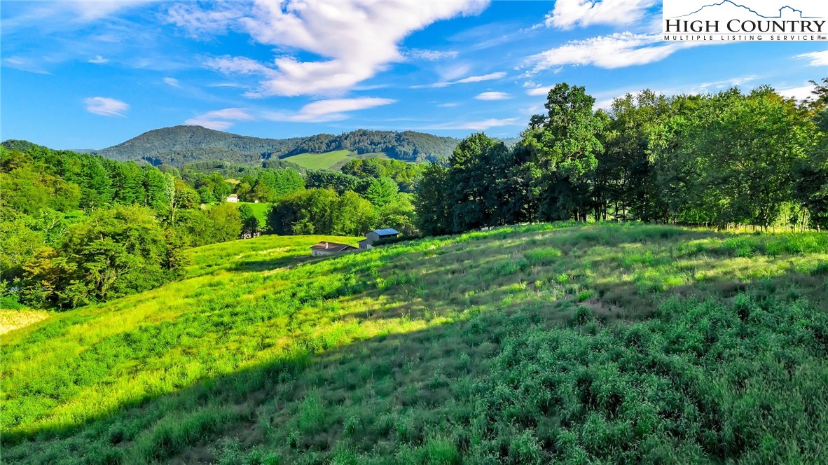 Harless Road West Jefferson, NC 28694 - Photo 10 of 31 Gallery Image 10