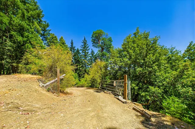 a view of a backyard of the house