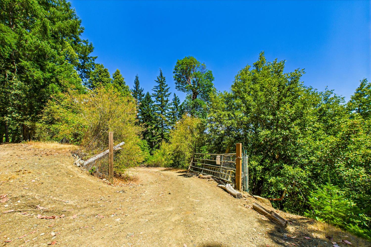 5500 Rancho Sequoia Drive Alderpoint, CA 95511 - Photo 10 of 30 a view of a backyard of the house