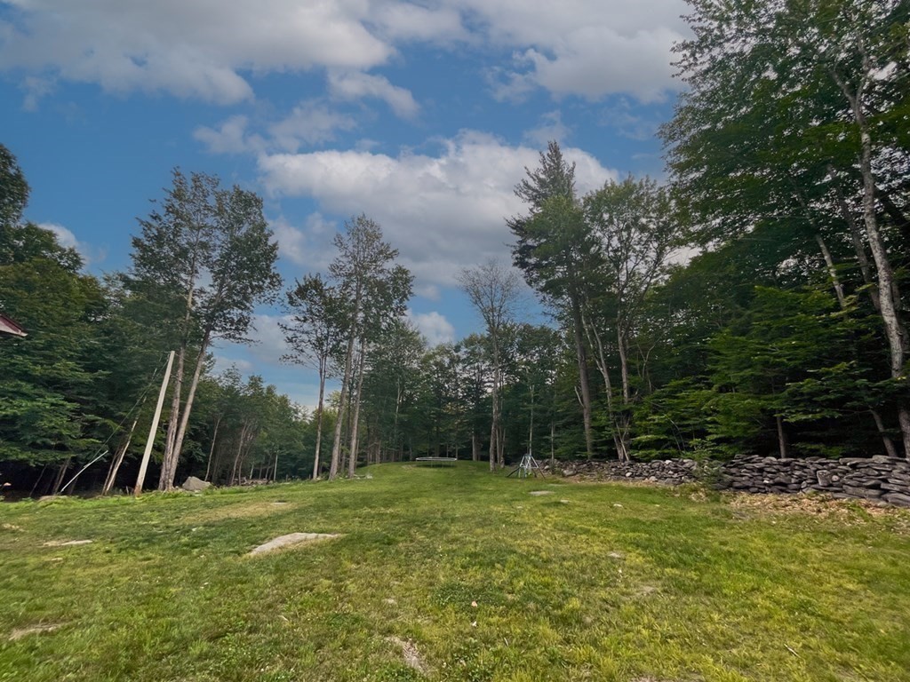 241 Thompson Road Colrain, MA 01340 - Photo 36 of 42 a view of backyard with green space