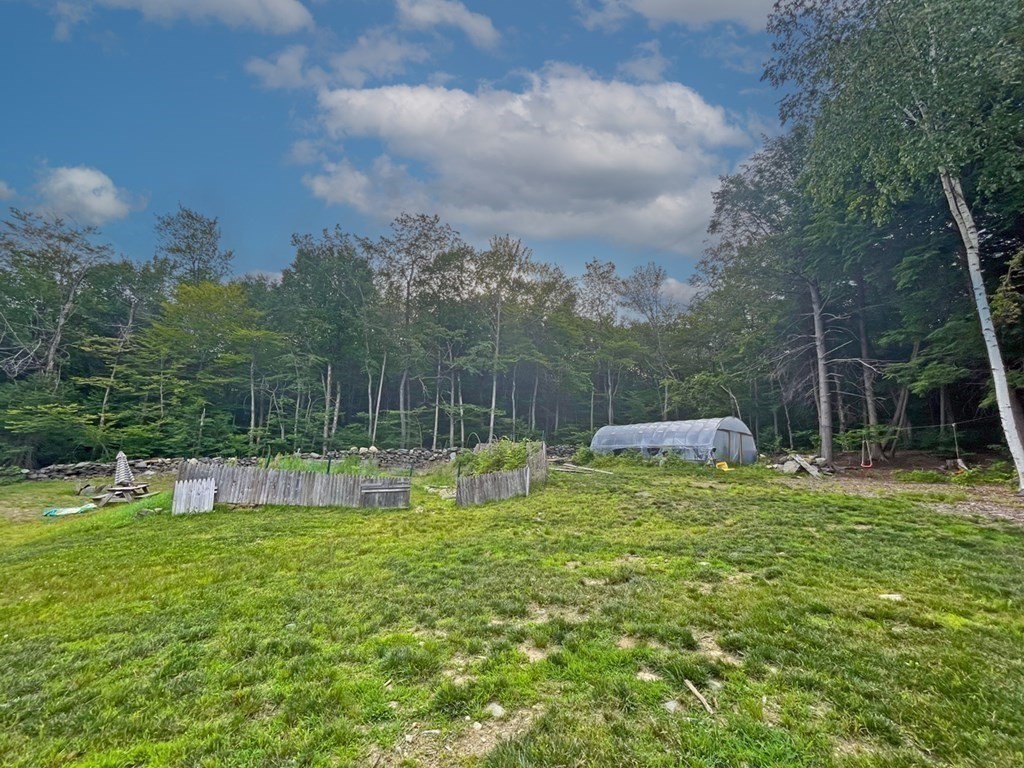241 Thompson Road Colrain, MA 01340 - Photo 40 of 42 a view of a park with large trees