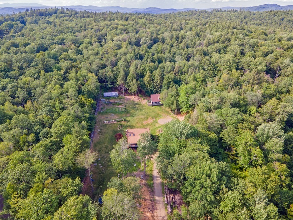 241 Thompson Road Colrain, MA 01340 - Photo 4 of 42 a view of a lush green field with lots of bushes