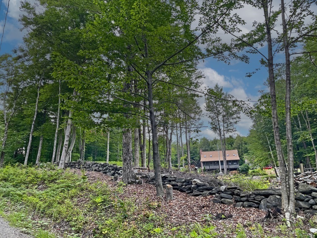 241 Thompson Road Colrain, MA 01340 - Photo 5 of 42 a backyard of a house with lots of green space