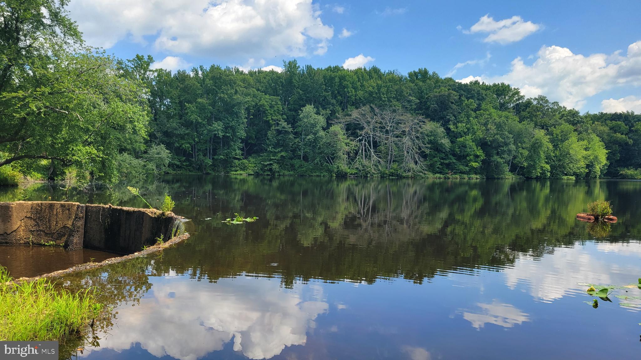 0 Waterworks Road Alloway, NJ 08001 - Photo 2 of 3 View of property from across Elkinton Lake