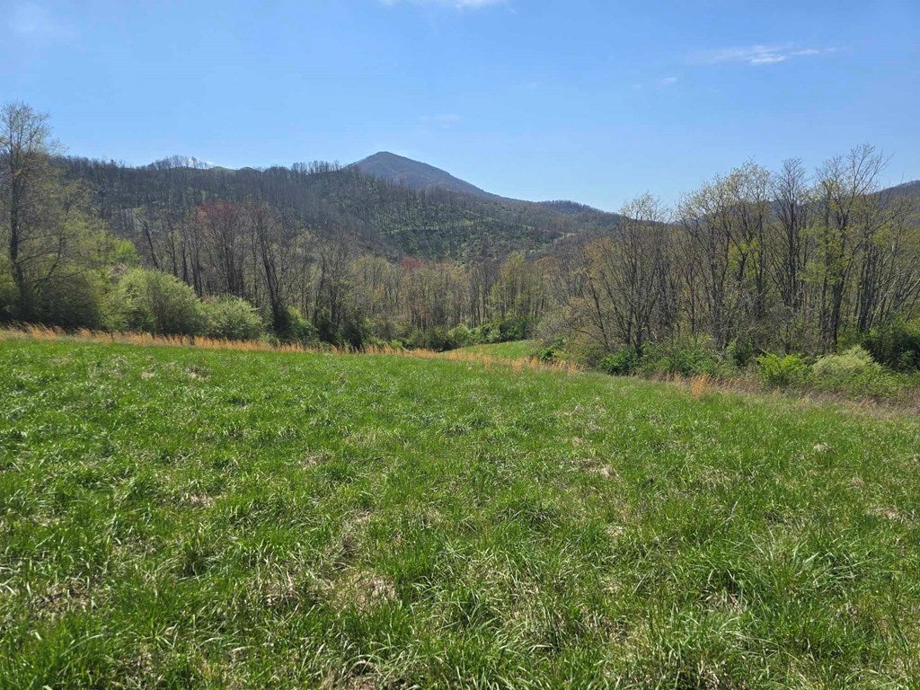 Tbd Crab Orchard Road Tazewell, VA 24651 - Photo 19 of 21 Gallery Image 19