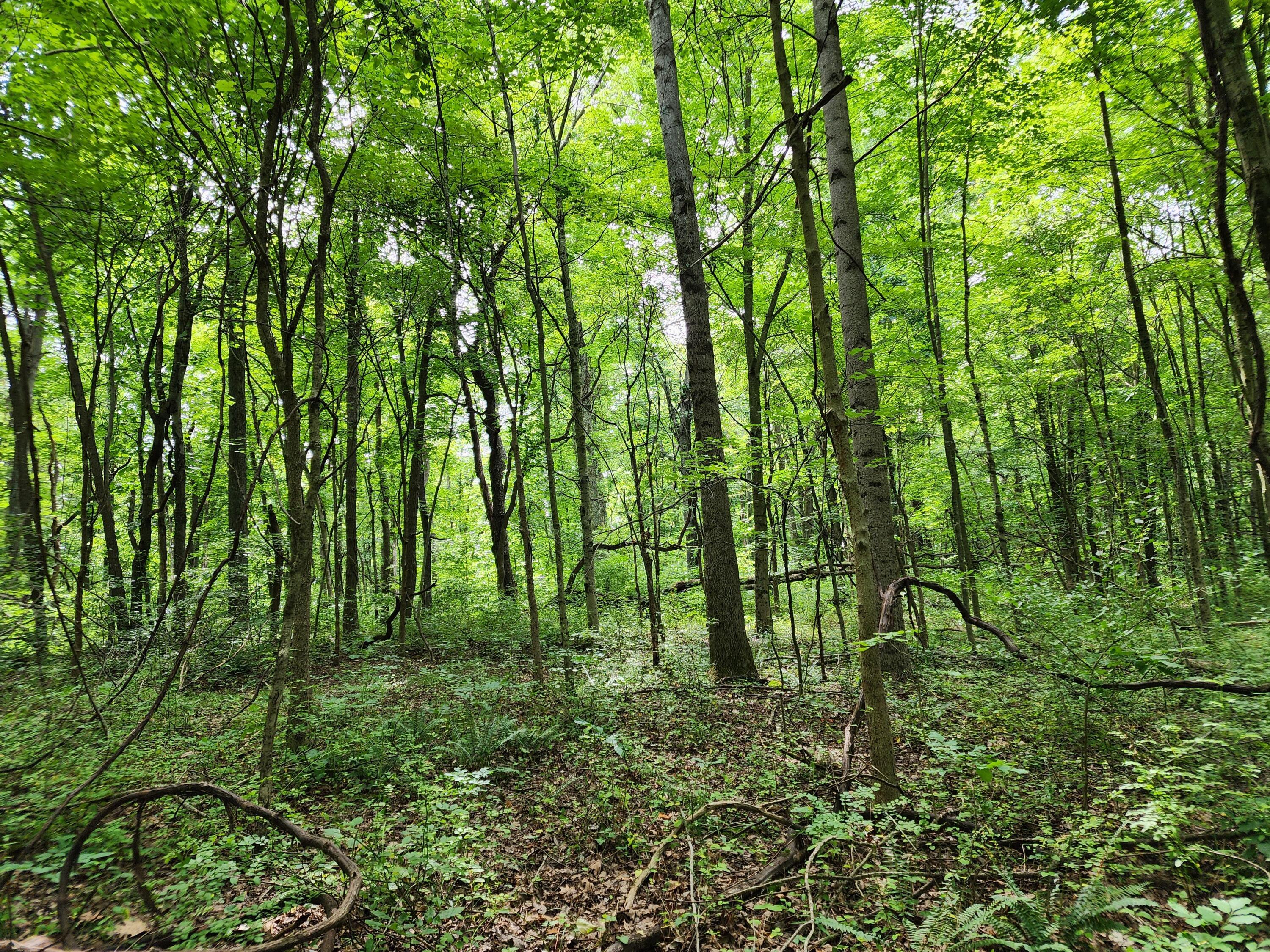 20036 Culp Road Logan, OH 43138 - Photo 29 of 39 20230720_112213