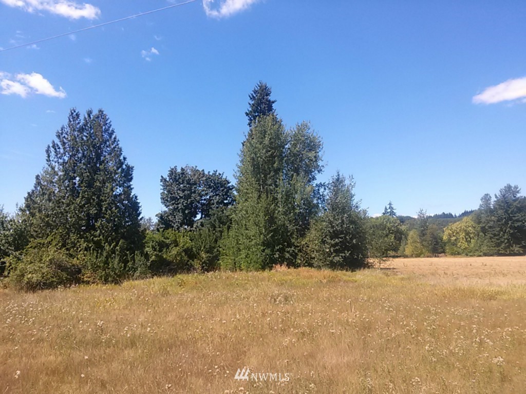 204 Leudinghaus Road Chehalis, WA 98532 - Photo 1 of 7