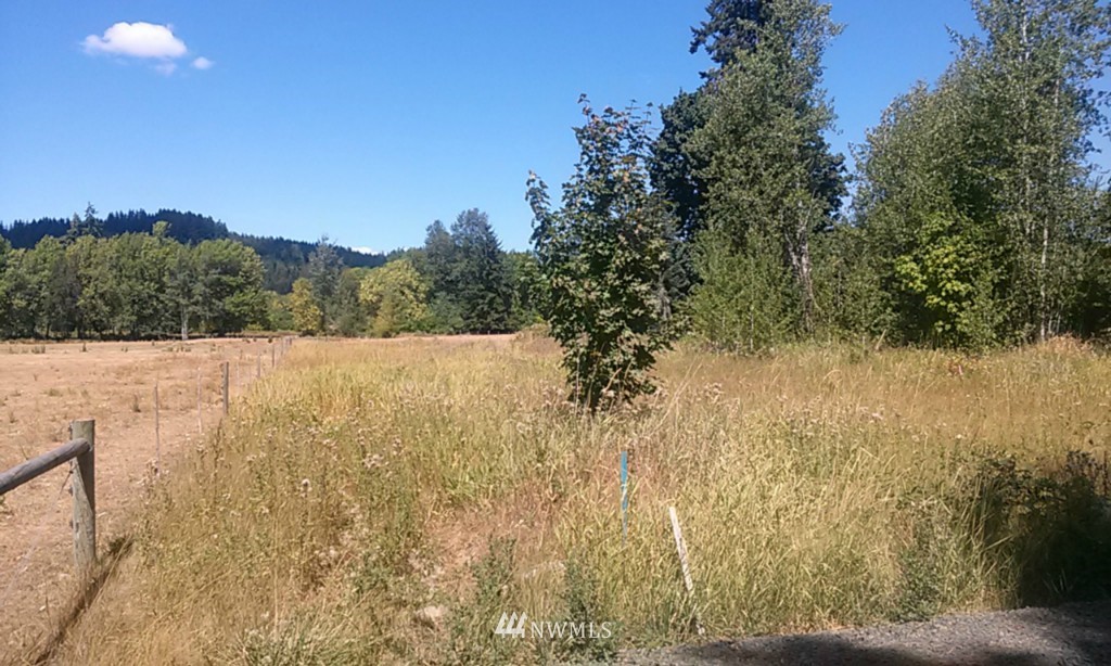 204 Leudinghaus Road Chehalis, WA 98532 - Photo 3 of 7