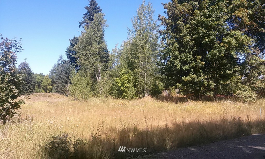 204 Leudinghaus Road Chehalis, WA 98532 - Photo 4 of 7
