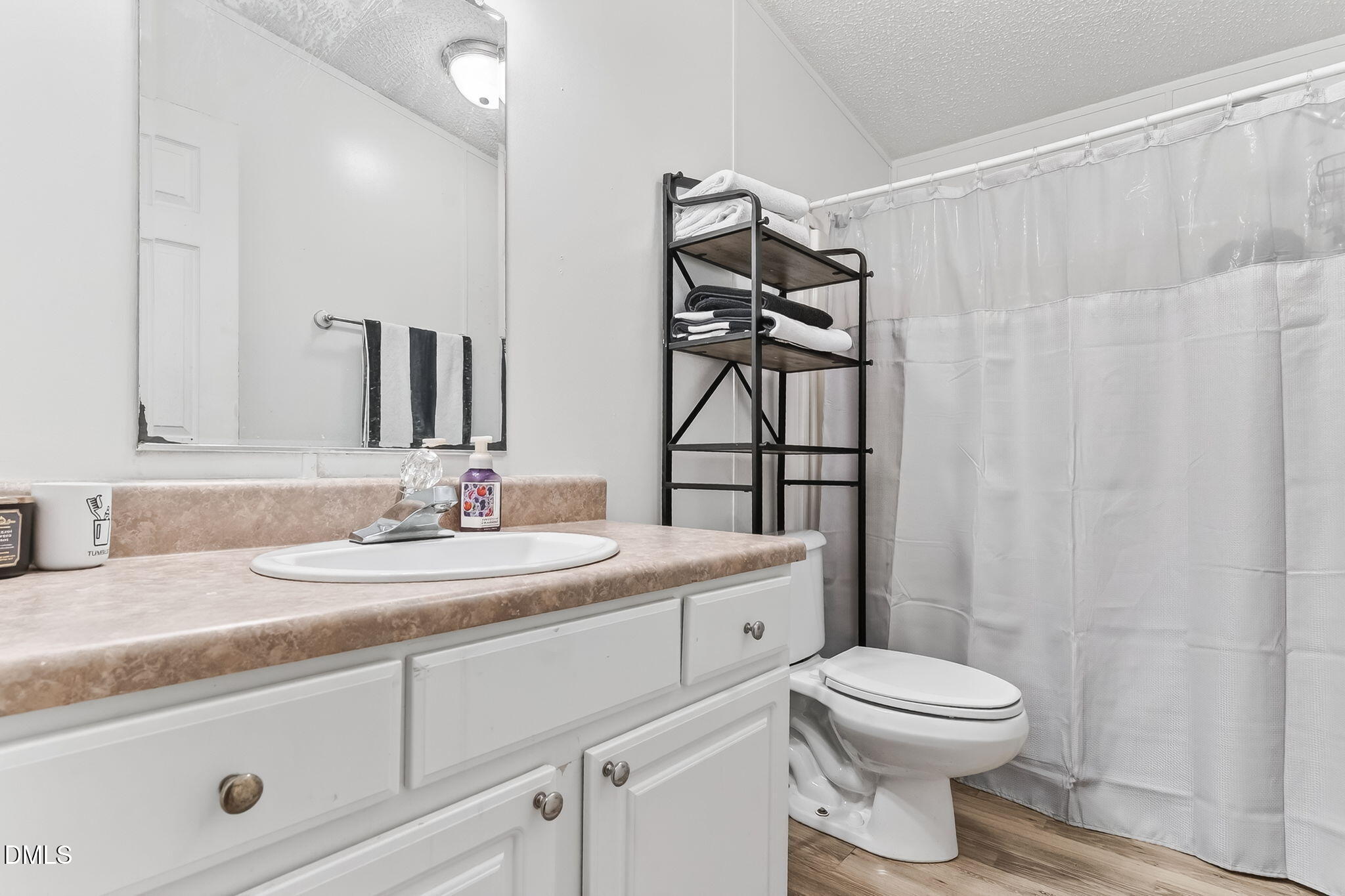 112 Morgan Street Erwin, NC 28339 - Photo 22 of 35 a bathroom with a toilet a sink and a mirror