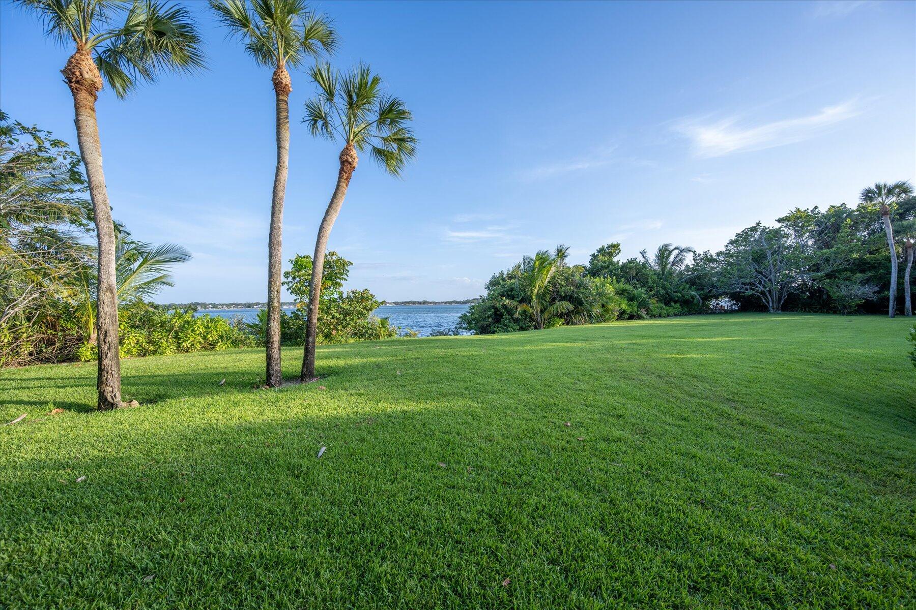 49 West High Point Road Sewall's Point, FL 34996 - Photo 80 of 99 a view of a garden with a tree