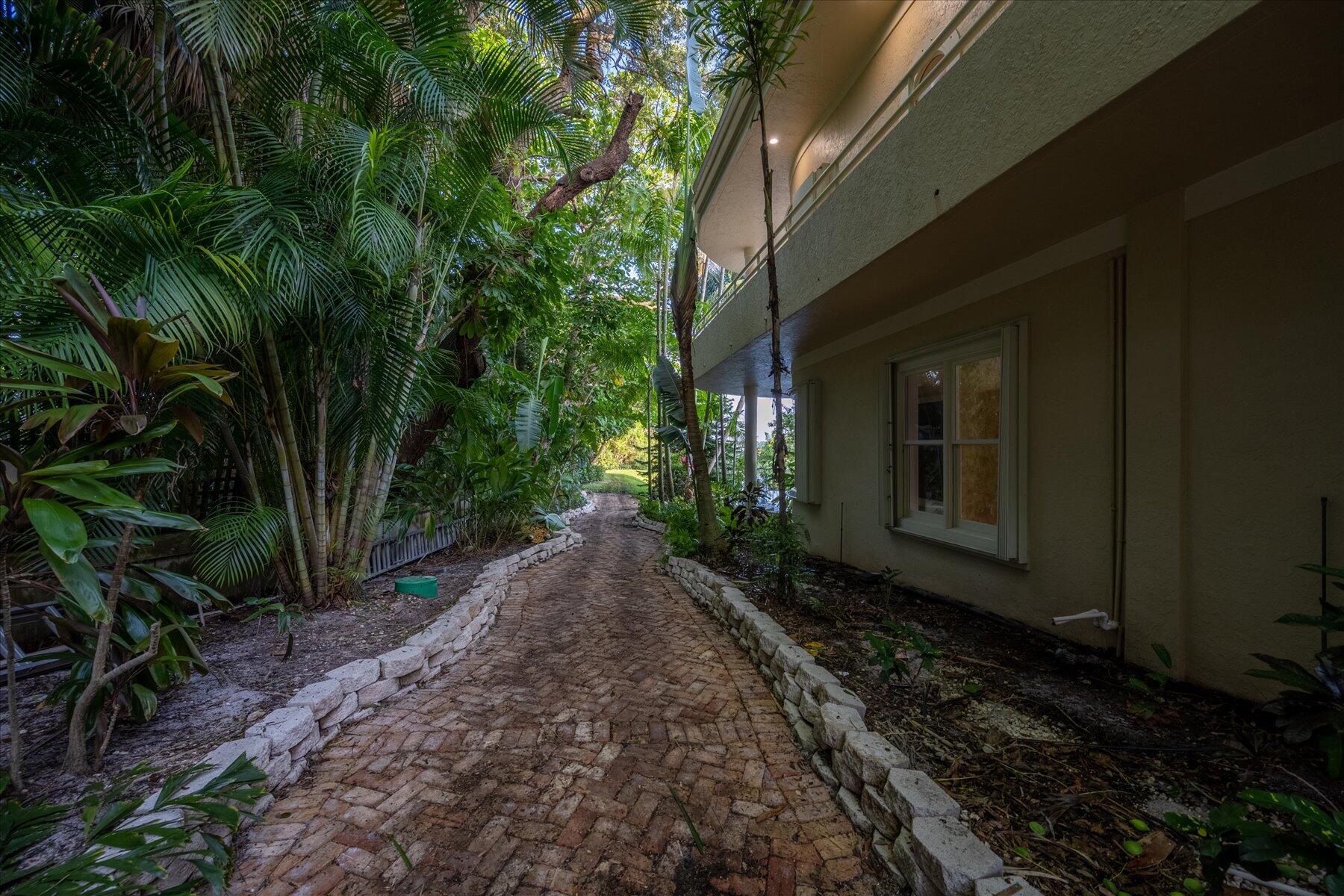 49 West High Point Road Sewall's Point, FL 34996 - Photo 95 of 99 a view of a backyard with plants