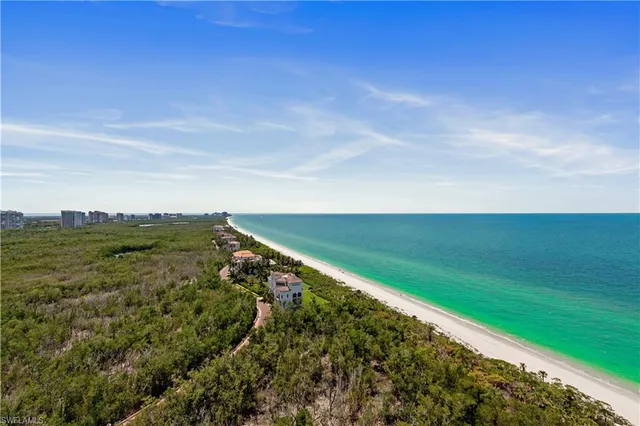 a view of a swimming pool and lounge chair