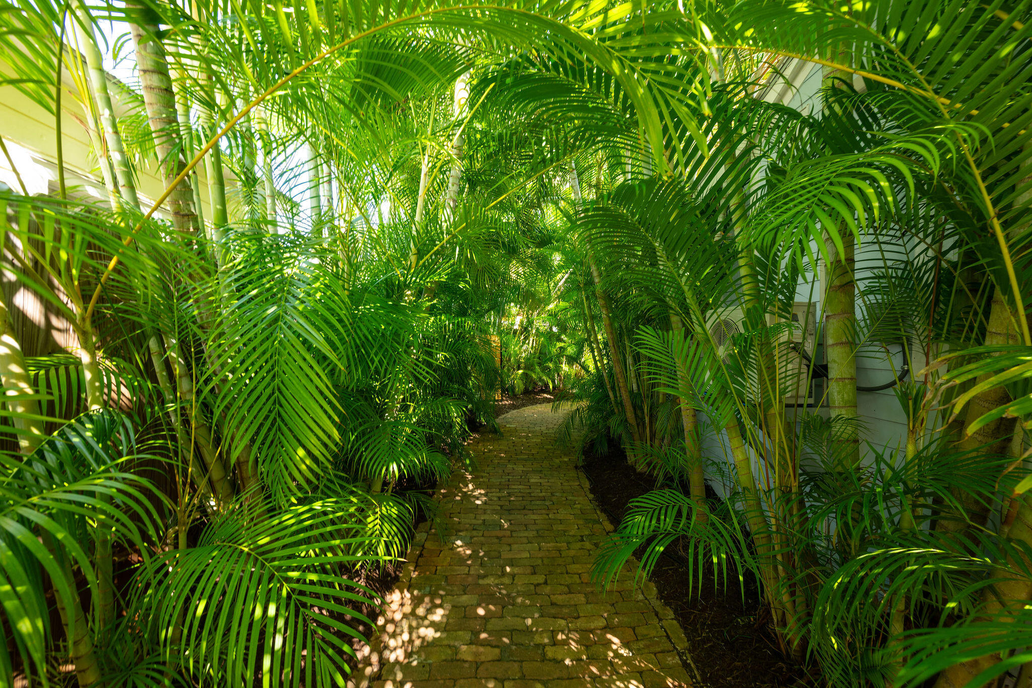 1111 Watson Street, Unit B Key West, FL 33040 - Photo 3 of 29 NDP_2220