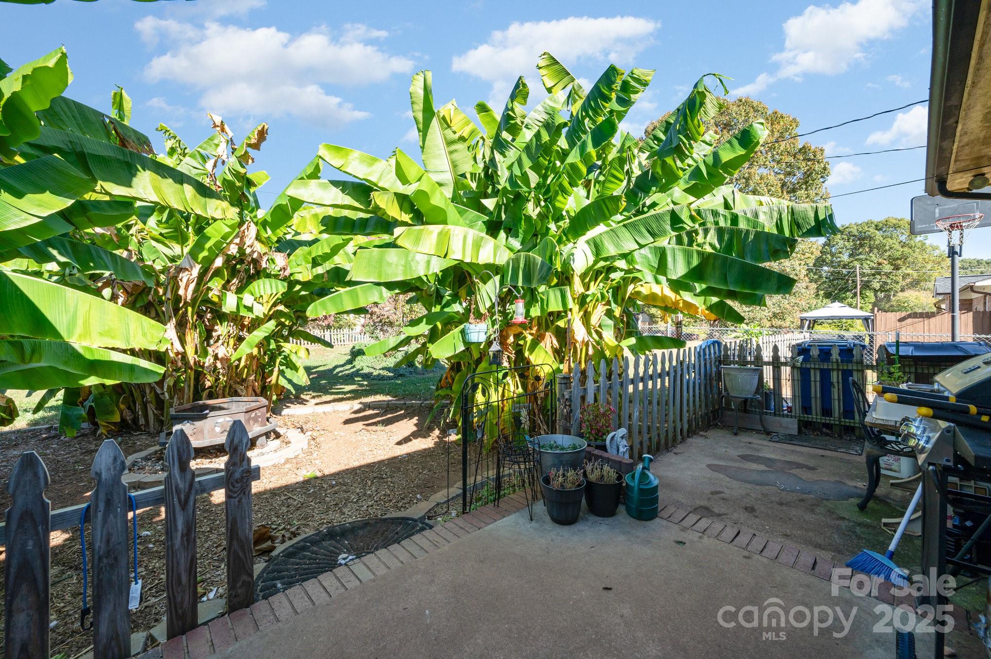 2415 Heavner Road Lincolnton, NC 28092 - Photo 16 of 21 a backyard with plants and outdoor seating